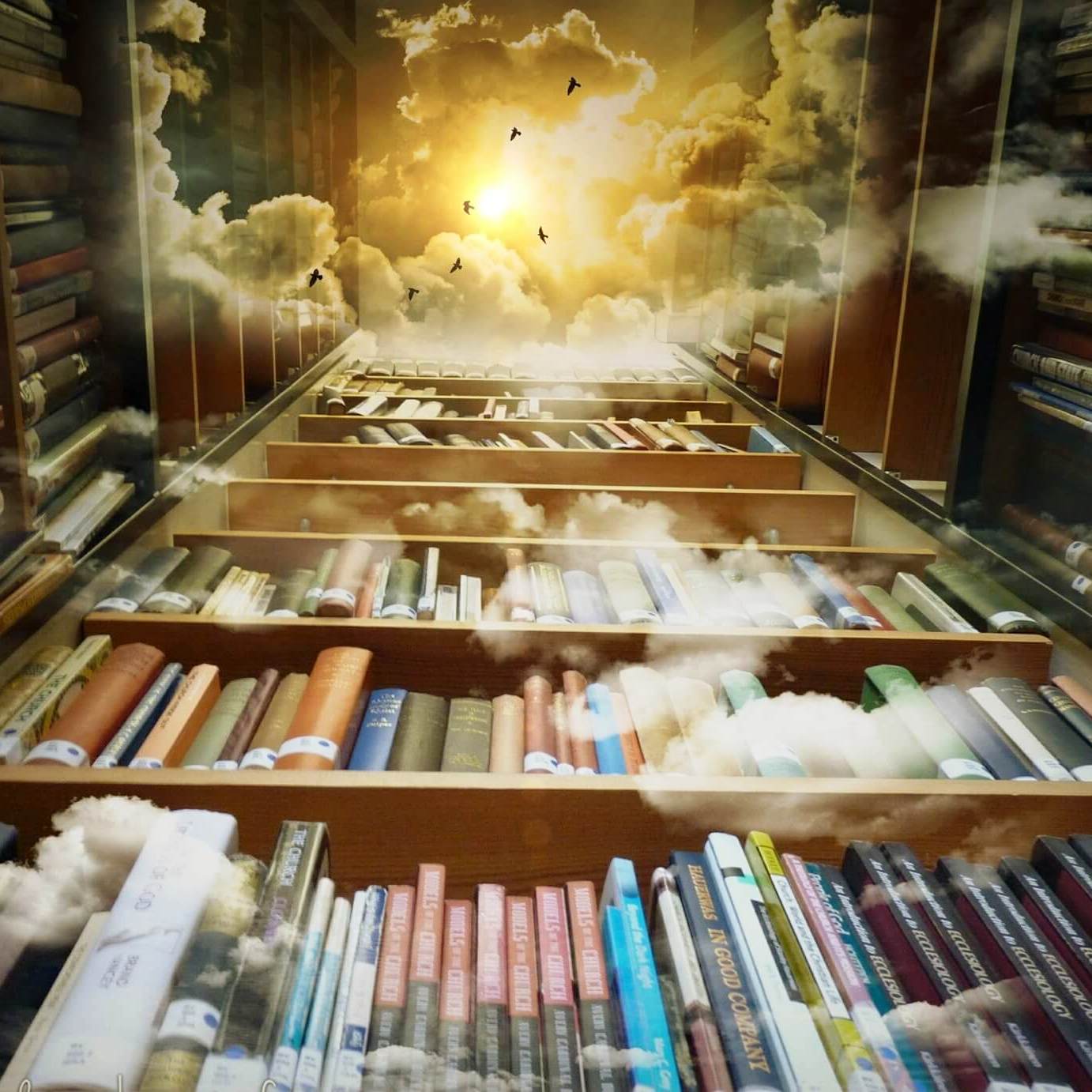 library of imagination